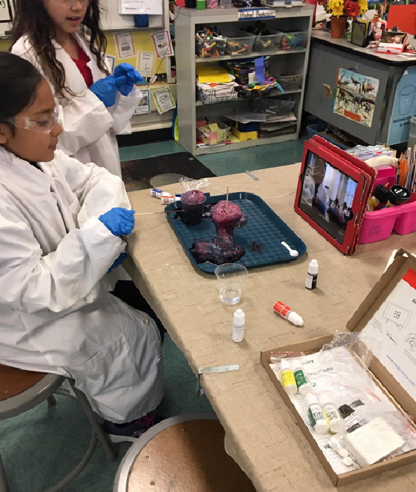 Girls performing an experiment and filming the results