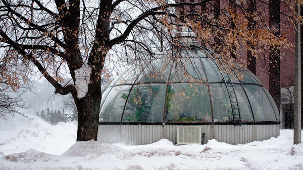 A greenhouse