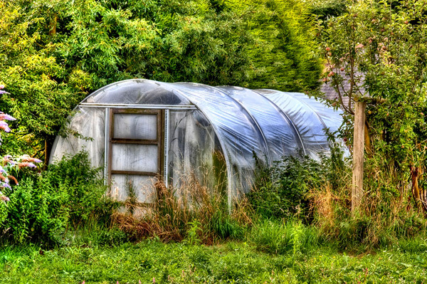 Greenhouse