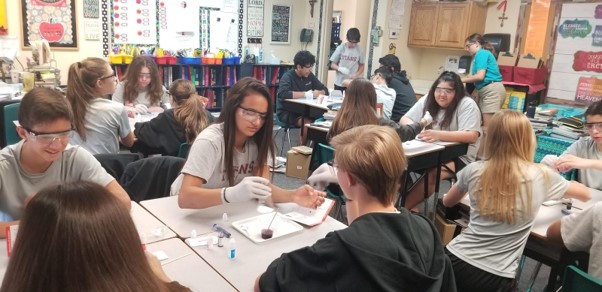 Saint Timothy’s students completing the MEL Chemistry experiment in pairs