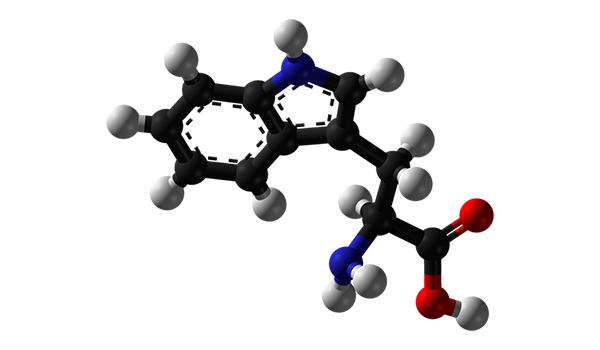 Tryptophan